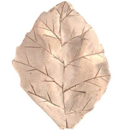 Orecchino Foglia Argento Lucido Placcato Oro  Rosa