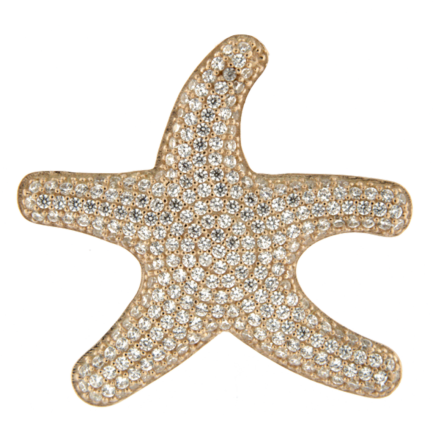 Silver Starfish Earring € 74,00