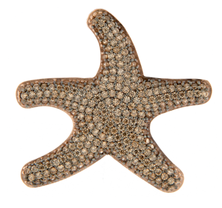 Orecchino Stella Marina Small Argento Zirconi Champagne Rodio Nero