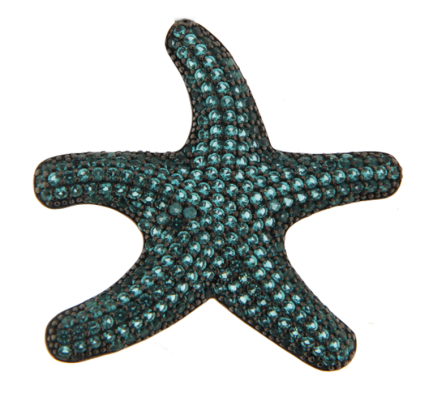 Orecchino Stella Marina Small Argento Zirconi Paraiba Rodio Nero