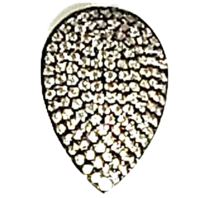 Pendente Goccia Piccola Argento Zirconi Bianchi Black Pen Placcato Oro Giallo
